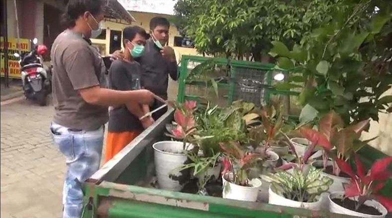Tersangka Suprianto bersama barang bukti tanaman hias  hasil curian diamankan polisi (Foto / Metro TV)