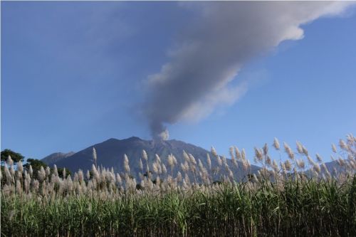 Gunung Raung mengeluarkan abu vulkanik. Foto: Antara/Budi Candra Setya