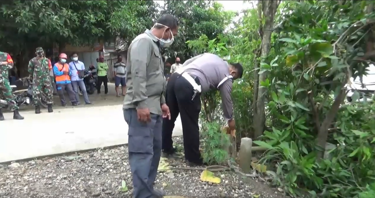 Anggota polisi setempet menunjukkan potongan pohon jati yang dipanjat korban sebelum tewas tersengat listrik (Foto / Metro TV)