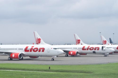 Maskapai penerbangan Lion Air (foto/dok)