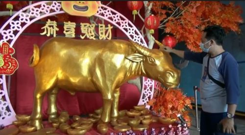 Patung kerbau berlapis emas terpasang di lorong masuk Klenteng Kwan Sing Bio Tuban. (metrotv)