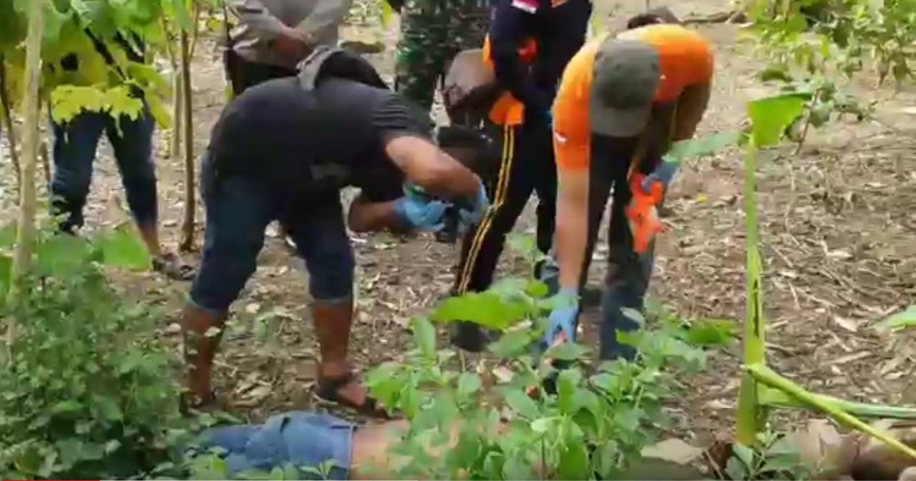 Petugas melakukan olah tkp sekaligus mengevakuasi jasad RMS yang tewas di ladang warga (Foto / Metro TV)