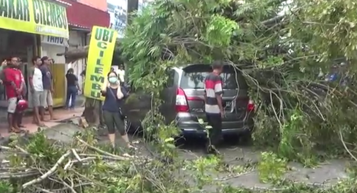 Pohon tumbang menimpa mobil  di Jalan Trunojoyo, Kaliwates, Jember.(metrotv)