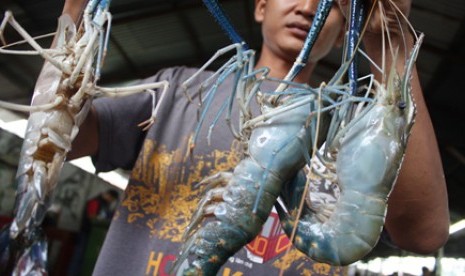 Udang Jadi Primadona Ekspor Jatim