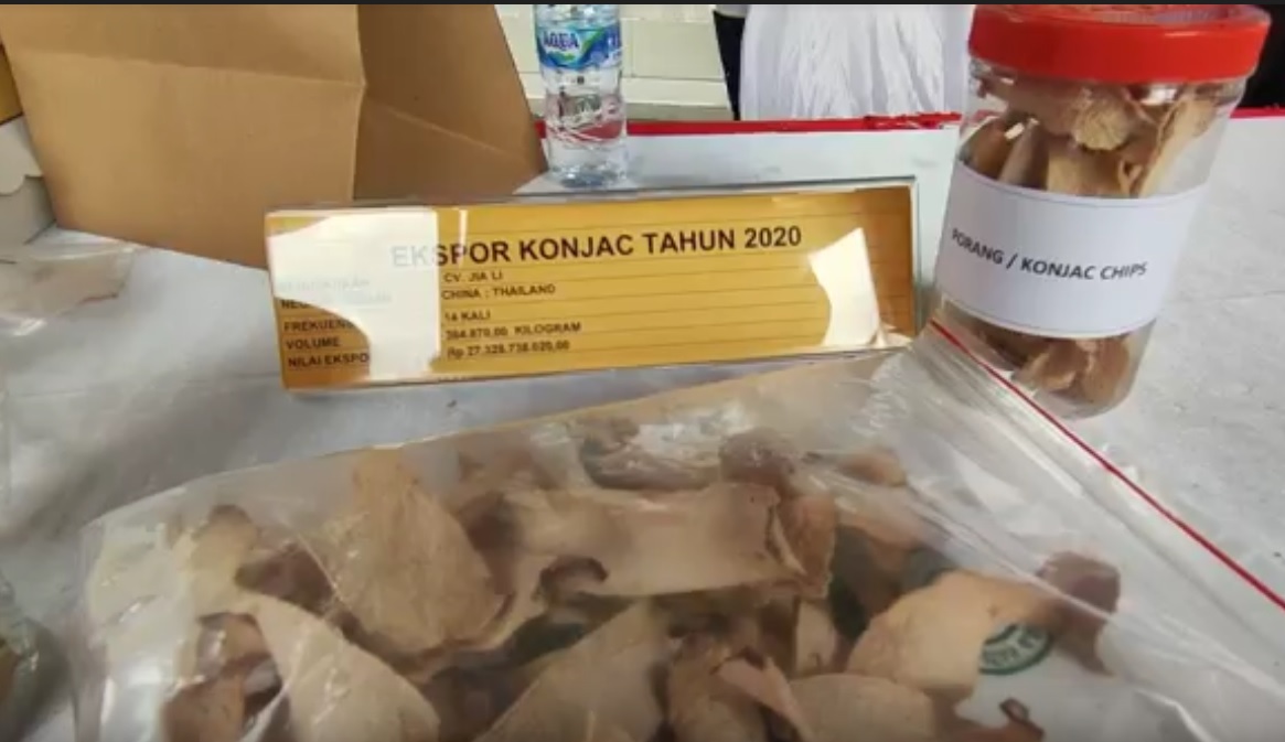 Diminati Pasar Internasional, Porang Bukan Lagi Makanan Ular