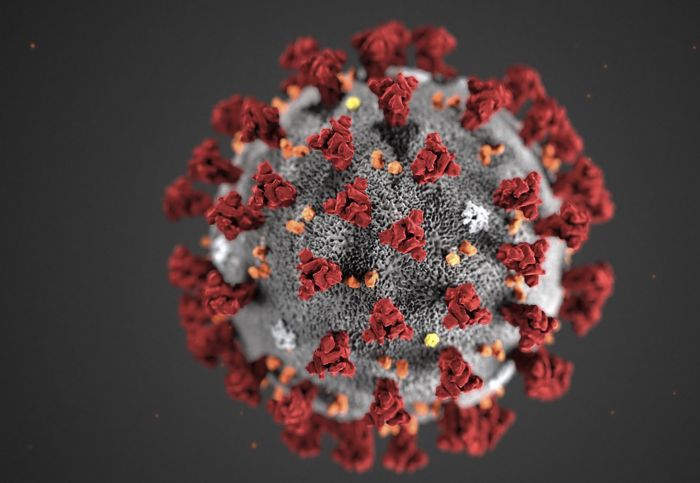 Ilustrasi virus SARS-CoV-2 penyebab Covid-19.  Sumber: CDC