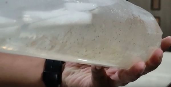Bea Cukai Juanda Gagalkan Penyelundupan 29.250 Ekor Baby Lobster