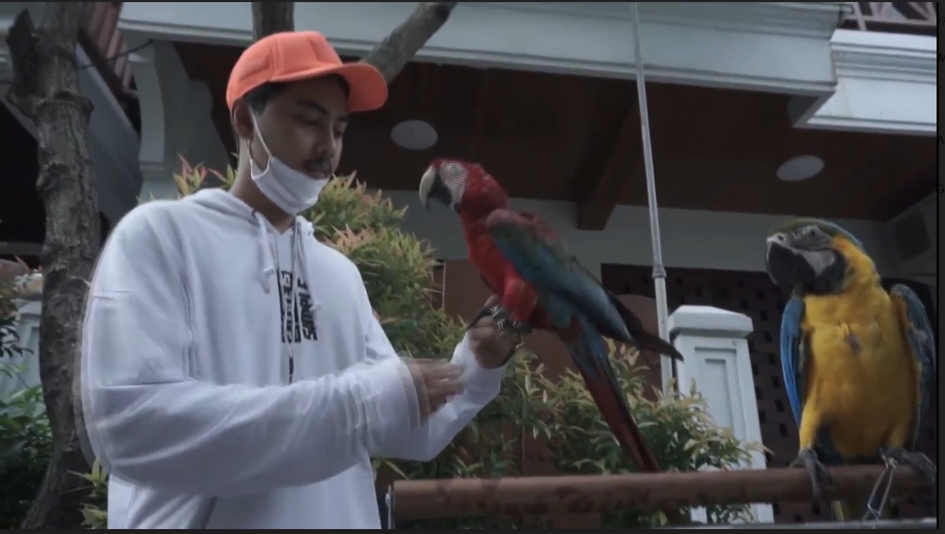 Bayu asyik bermain dengan burung peliharaannya yang sudah menjalani terapi  hingga jinak (Foto/ Metro TV)