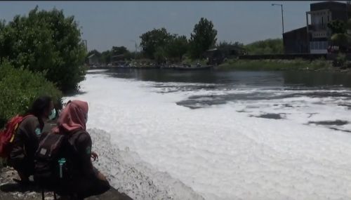 Sungai Tambak Wedi Kenjeran, Surabaya  mengeluarkan busa putih. (metrotv)