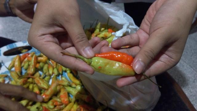 Barang bukti cabai yang diduga dicat sudah diamankan polisi untuk dilakukan penyelidikan (Foto / istimewa)
