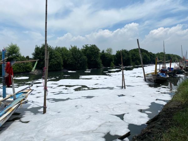 Ecoton : Risma Hanya Ingat Taman, Lupa Sungai