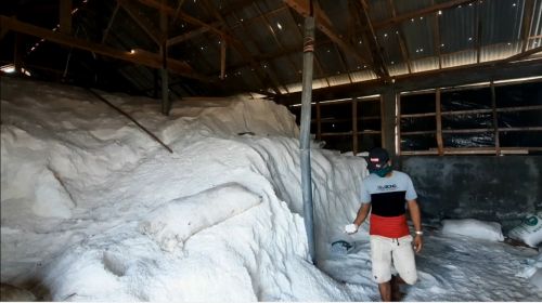 Stok garam kualitas super masih melimpah di Probolinggo (Foto / Metro TV)