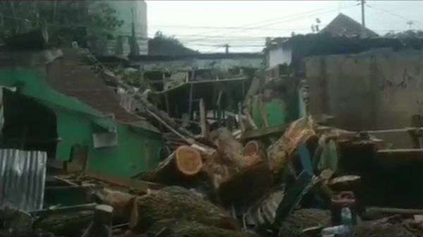 Tidak Ada Hujan, Pohon Raksasa Tumbang Timpa 5 Kios Pedagang