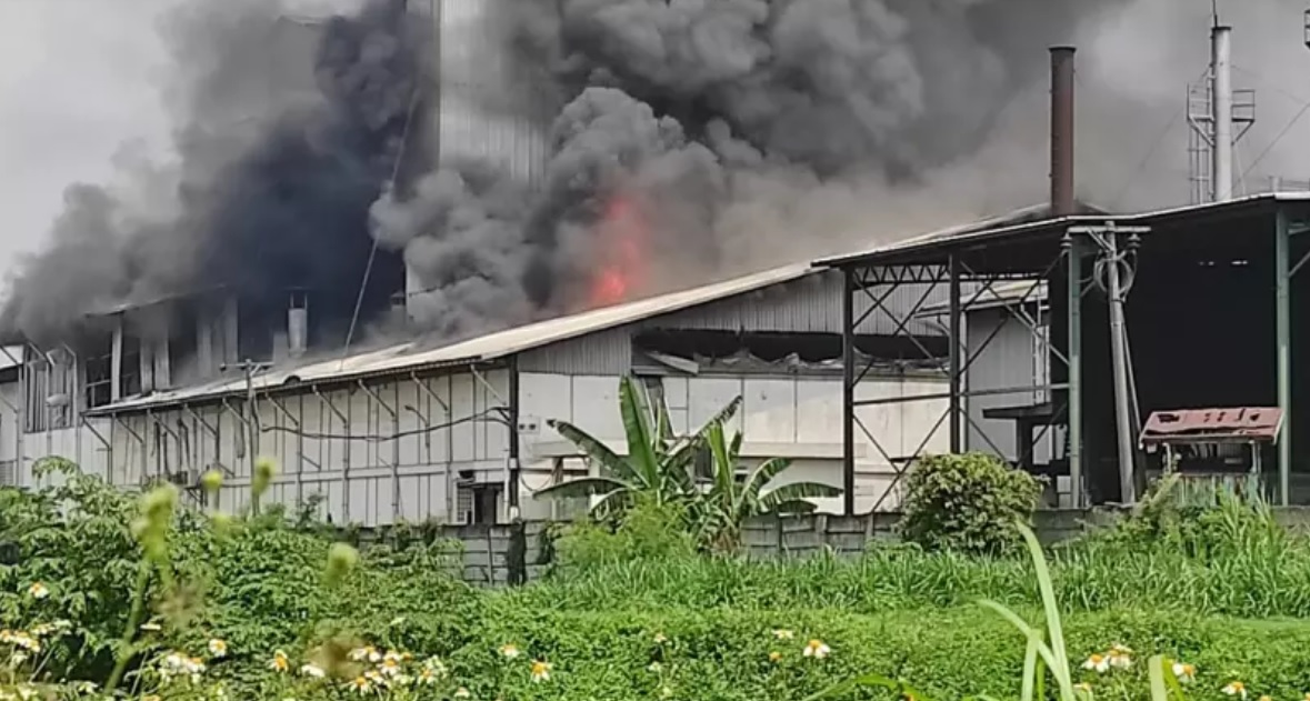 Pabrik tepung  PT Agrofood Makmur Mandiri terbakar hebat (Foto / Metro TV)