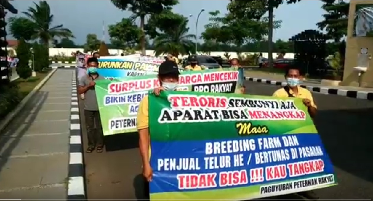 Aksi unjuk rasa peternak ayam di depan Kantor Pemkab Blitar. (metrotv)
