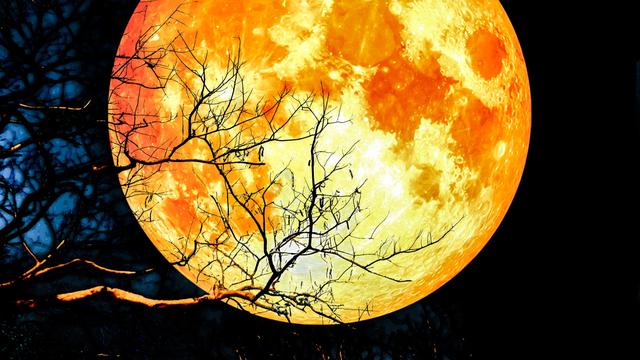 Ilustrasi super moon (Foto / Istimewa)