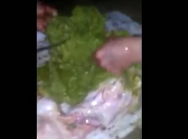 Video benda asing yang ditemukan dalam perut kambing milik warga Tulungagung tersebar di medsos. (metrotv)