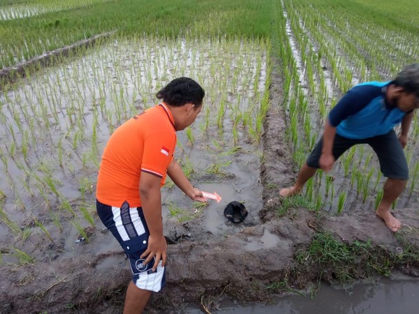 Tersembar Petir, Petani Mojokerto Tewas