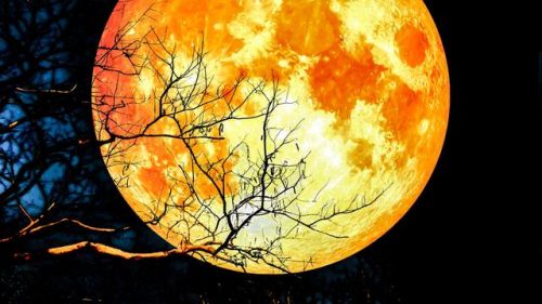 Super Blood Moon 26 Mei, Ini Panduan Sholat Gerhana Saat Pandemi