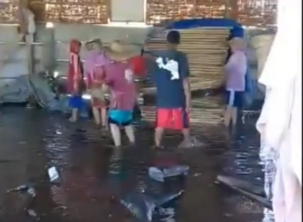 Sejumlah pekerja gudang pengeringan ikan berusaha menyelamatkan hasil produksinya saat banjir rob datang. (metrotv)