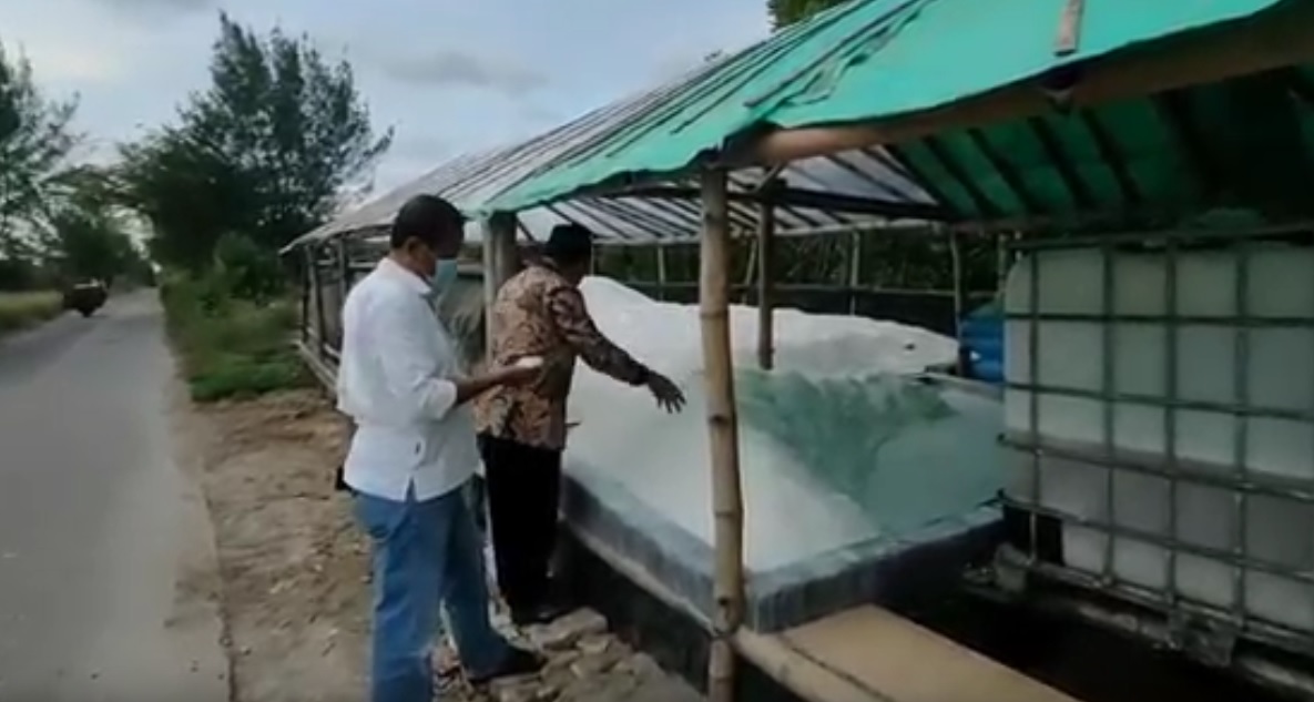 Selain harga anjlok, petani garam menghadapi stok garam yang menurun drastis (Foto / Metro TV)