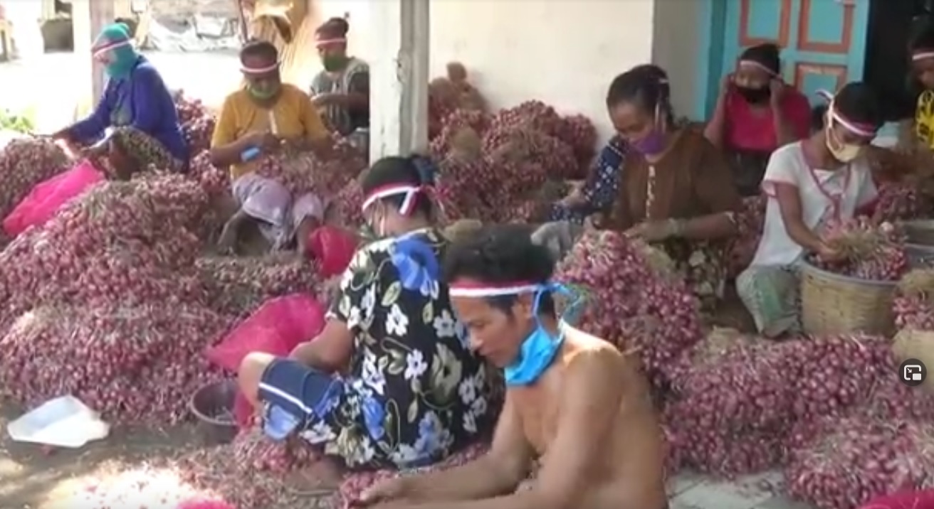 Warga Kampung Bawang di Probolinggo mengenakan ikat kepala merah putih di hari lahir Pancasila. (metrotv)