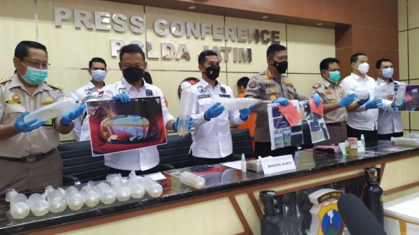 Tertangkap! 2 Warga Trenggalek Selundupkan Baby Lobster Senilai Rp 1 Miliar