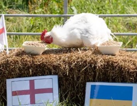 Ayam Kiev Ramal Laga Inggris vs Ukraina, Ini Hasilnya!