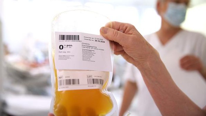 Stok Kosong, Antrean Plasma Konvalesen di PMI Surabaya Capai 574 Permintaan