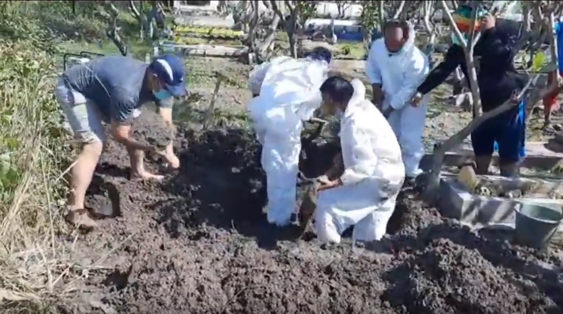 Petugas menggali kembali makam jenazah yang tertukar di Sidoarjo. (metrotv)