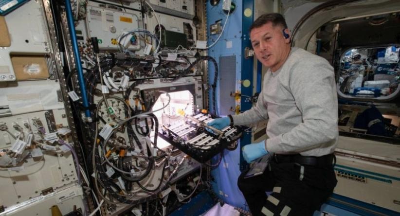 Astronot NASA Shane Kimbrough memasukkan 48 biji cabai ke dalam APH stasiun ruang angkasa pekan ini dan mulai percobaan yang disebut Plant Habitat-04 (Foto / Ist)