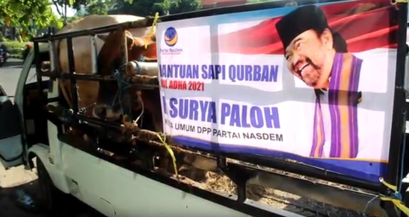 Hewan kurban milik Ketua DPP Patai Nasdem, Surya Paloh untuk dibagikan kepada warga (Foto / Metro TV)