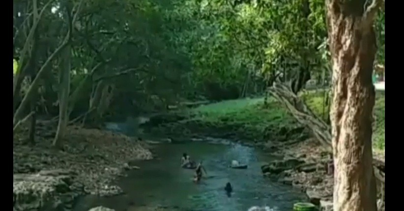 Menikmati Indahnya Underwater di Tengah Hutan Bojonegoro