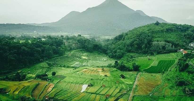 Pamandangan Sumber Gempong Mojokerto disebut-sebut mirip Ubud di Bali (Foto / Istimewa)