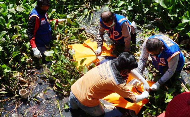 Petugas mengevakuasi mayat Ramadhan dari tumpukan eceng gondok (Foto / Metro TV)