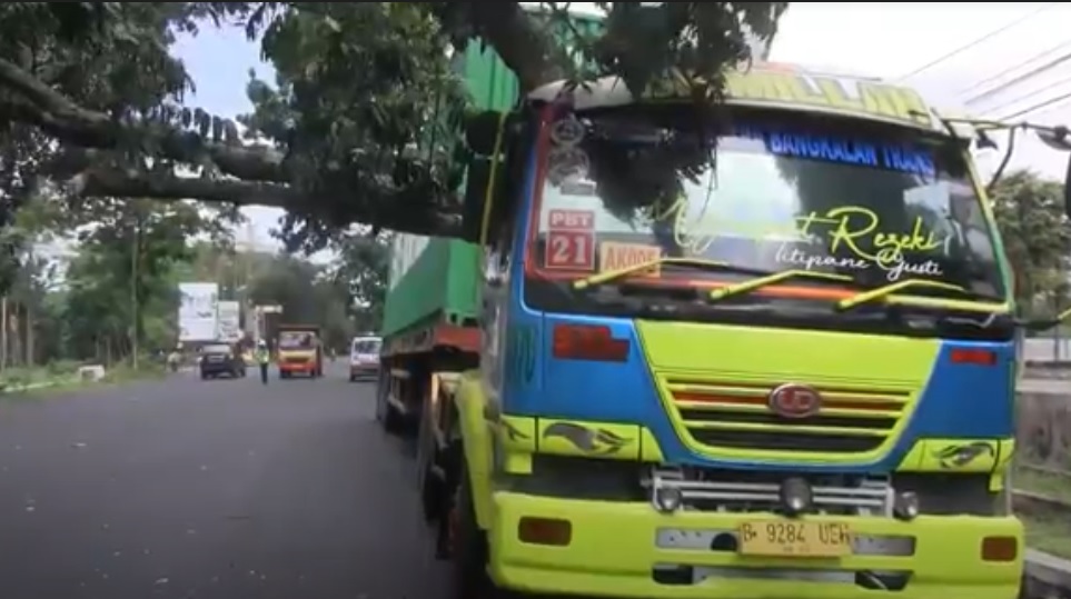 Pohon jenis mahoni ini tumbang tepatnya di jalan nasional, Desa Grobogan, Kecamatan Kedungjajang, Lumajang. (metrotv)