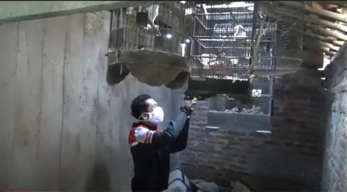 Tersangka memperagakan cara mengambil burung dari dalam sangkar. (metrotv)