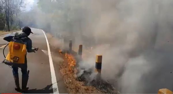 Hutan Baluran Terbakar, Asap Ganggu Jalur Surabaya-Banyuwangi