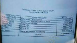 Viral, Tagihan Perawatan Bupati Bojonegoro Anna Muawanah Hampir Setengah Miliar