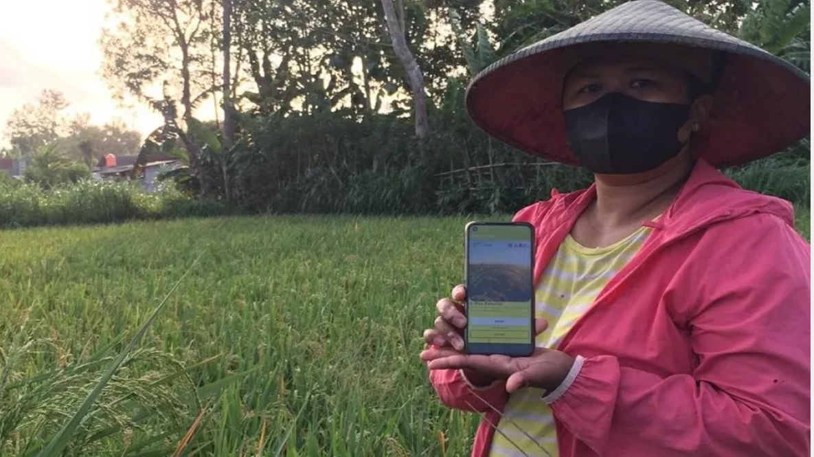 Salah satu petani di Malang menggunakan e-rice detector buatan mahasiswa UMM Malang (Foto / Istimewa)