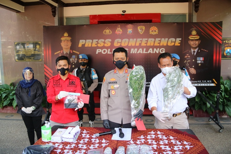 Kapolres Malang, AKBP Bagoes Wibisono menunjukkan barang bukti pohon ganja. (foto/medcom)