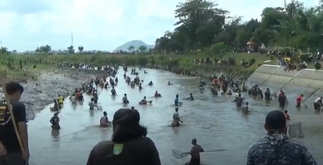 Ratusan warga berebut ikan mabuk akibat pengurasan bendungan Boyolangu, Tulungagung. (metrotv)