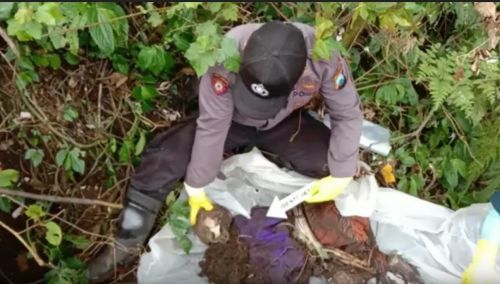 Kerangka manusia yang ditemukan di lereng tebing Ijen Banyuwangi dievakuasi petugas. (metrotv)