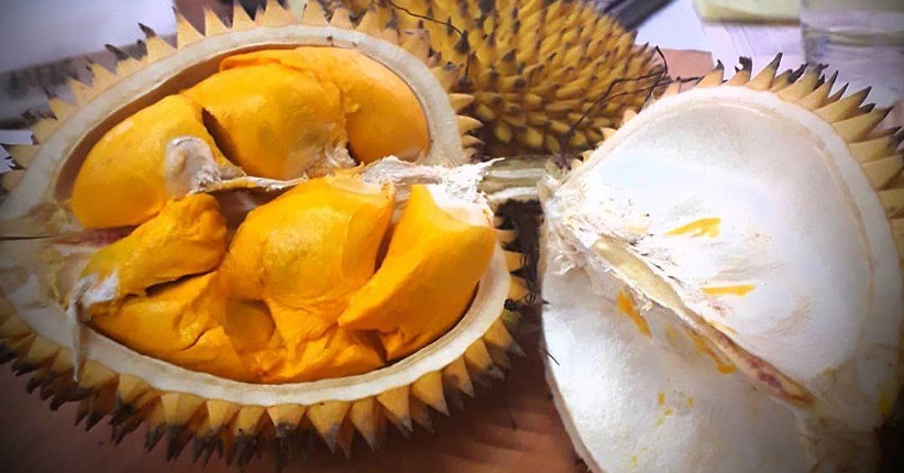 Buah Lai asal Kalimantan ini mirip durian tapi baunya tak menyengat (Foto / Istimewa)