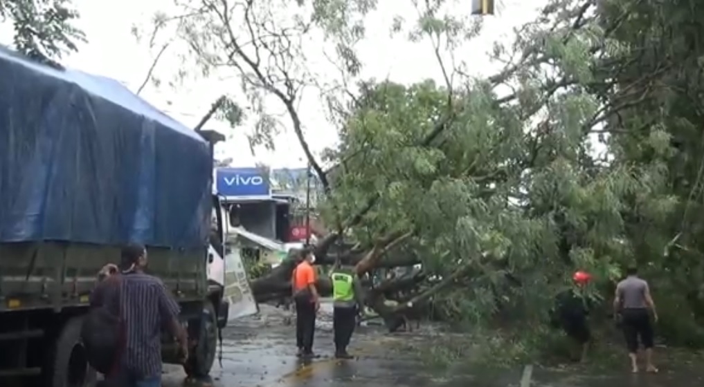 Pohon tumbang menutup badan jalan nasional Tulungagung-Kediri. (metrotv)