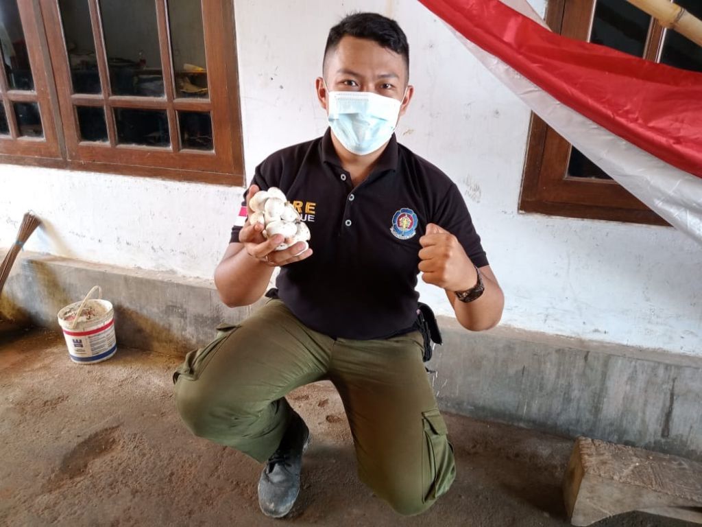 Ngeri, Lama Tak Ada Kegiatan Belajar, Sekolah di Banyuwangi Jadi Sarang King Kobra