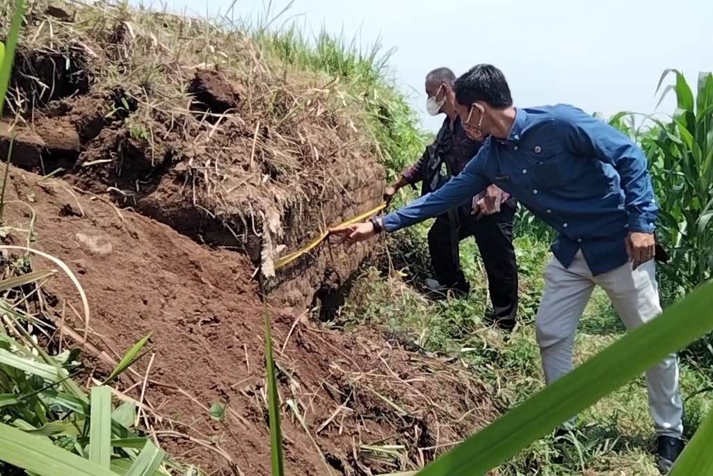 Petugas BPCB Jatim tengah memeriksa susunan batu bata yang diduga Candi Kerajaan Majapahit di salah satu lahan warga di Mojokerto (Foto / Istimewa)