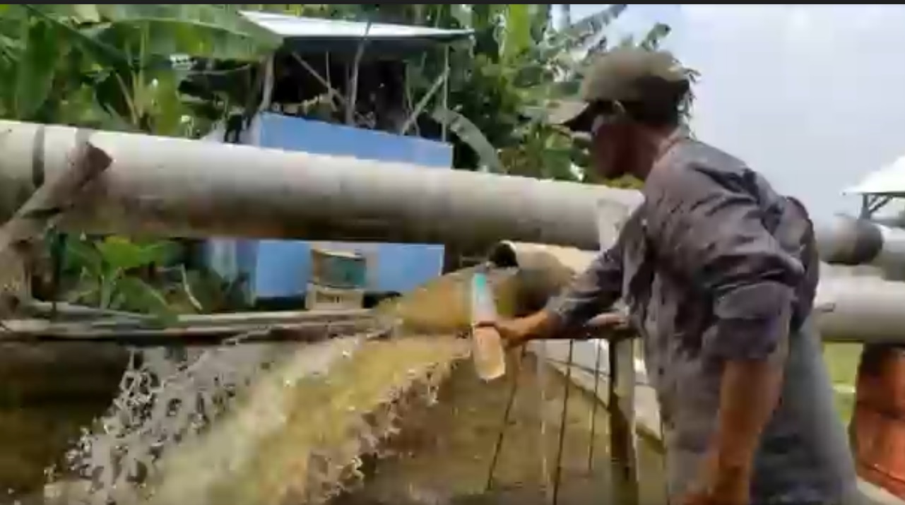 Diduga Tercemar Limbah, Sungai Bengawan Solo di Lamongan Resahkan Warga
