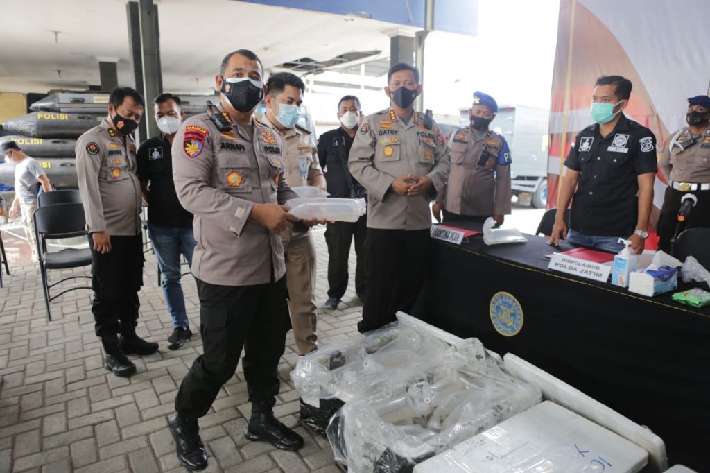 Dirpolairud Polda Jatim, Kombes Pol Arnapi menunjukkan barang bukti benur yang gagal diselundupkan ke Jakarta (Foto / Metro TV)