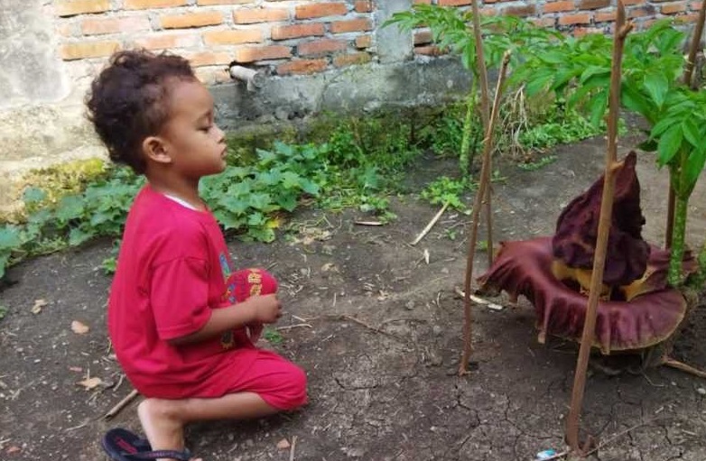 Bunga bangkai tumbuh di pekarangan rumah warga (Foto / Metro TV)